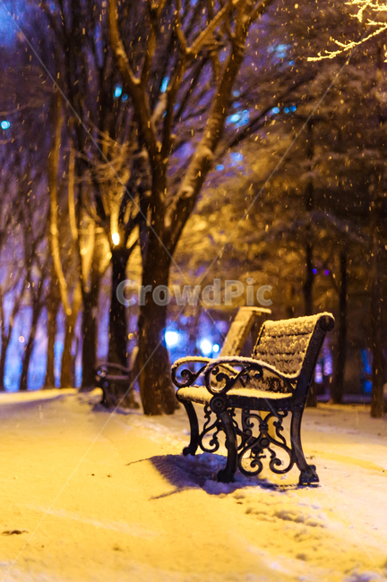 bench,snowscape,winternight,winter,snowy park,sensitive,winter night,snow,dark,nightscape,emotional photo,park