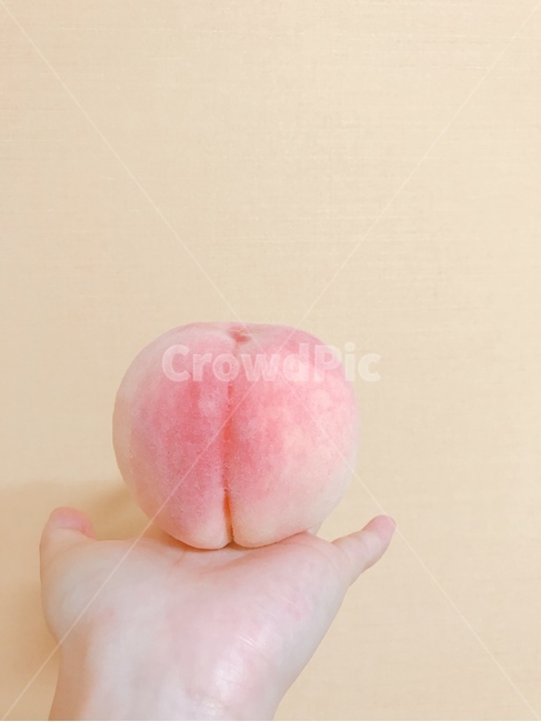 복숭아,과일,peach,천도복숭아,피치,음식,식재료,요리,food,cook,meal,dishes,food reserves,과일,열매,fruit