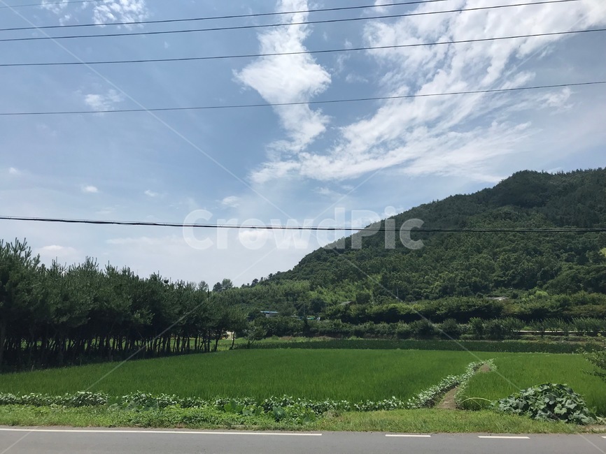 풍경,자연,하늘,산,농촌