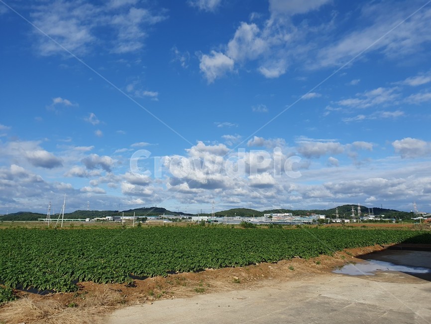 자연,날씨,구름,하늘,sky,자연,풍경,nature,landscape