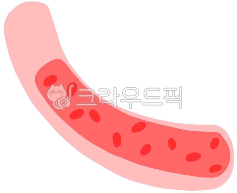 Red,pink,simple,blood vessels,red blood cells,fat,cholesterol,blood circulation,blood flow,arteries,blood,arteriosclerosis,disease,neurology,cerebral infarction,blood vessel management,blood vessel health,health management