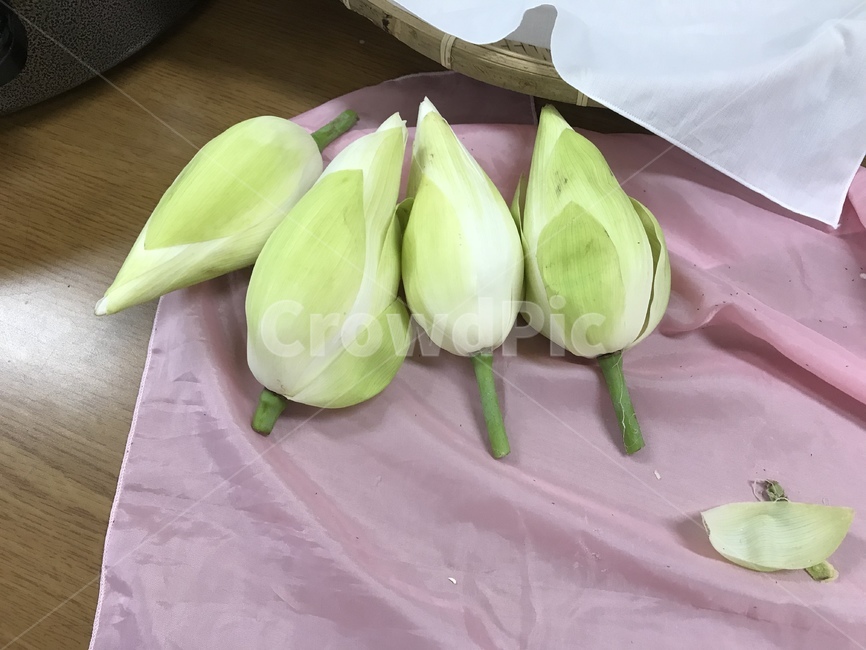 연꽃차만들기,연꽃차,연꽃,연잎,연꽃수술