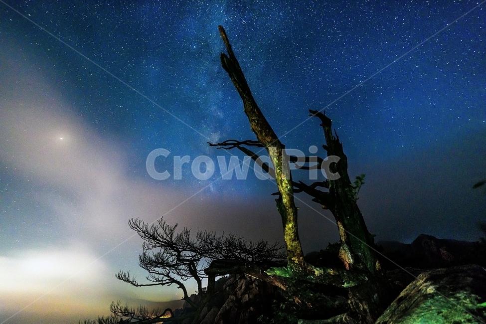 풍경,대둔산,고목,은하수,나무,야경,밤,풍경,nightscape,night,landscape,식물,자연,plants,nature,나무,trees,wood,outdoors,옥외,outer space,대기권 밖,astronomy,천문학,universe,우주