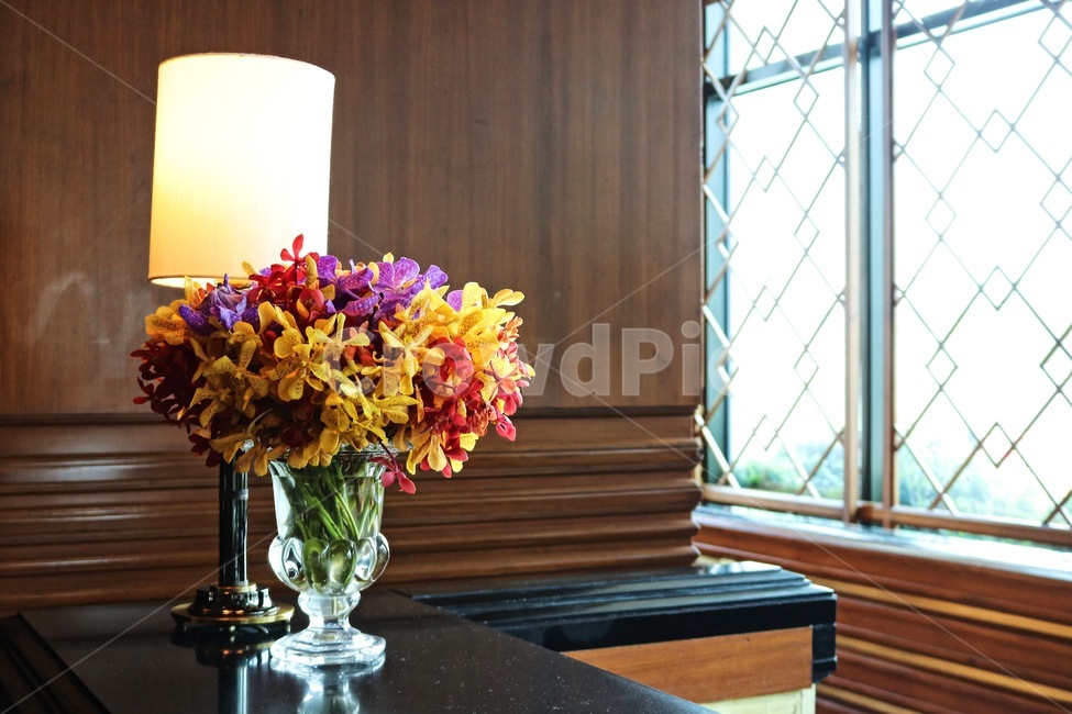 꽃,꽃병,조명,꽃장식,카운터,꽃,flower,실내용화초,화분,화초,house plant,인테리어,실내디자인,interior design