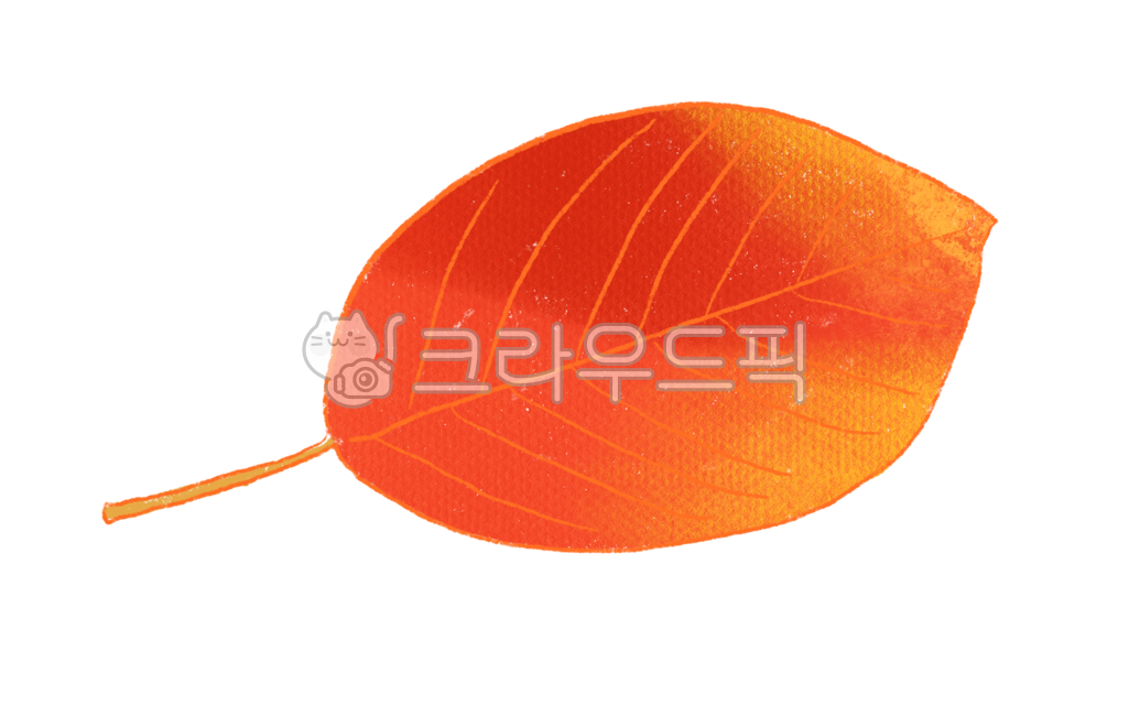 가을,단풍,낙엽,단풍잎,단풍잎스티커,자연,계절,낙엽그림,낙엽png,가을일러스트,식물,잎,가을느낌,낙엽스티커,빨강,빨간잎