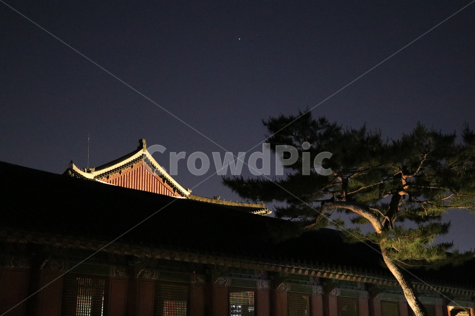 경복궁,야간개장,한옥,풍경,야경,전통,한국,한국전통,풍경사진,소나무,밤,근정전,건물,야경,밤,풍경,nightscape,night,landscape,한국전통,한국문화,korean traditional,korean culture,랜드마크,landmark,tourist attraction,한국랜드마크,한국관광지,한국명소,korea landmark,korea tourist attraction,건축물,건물외관,exterior,building,structure,architecture,construction