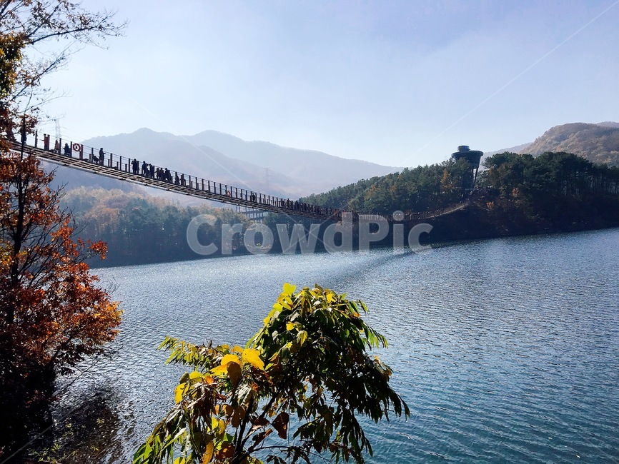출렁다리,마장호수,파주,다리,호수,파주관광지,자연