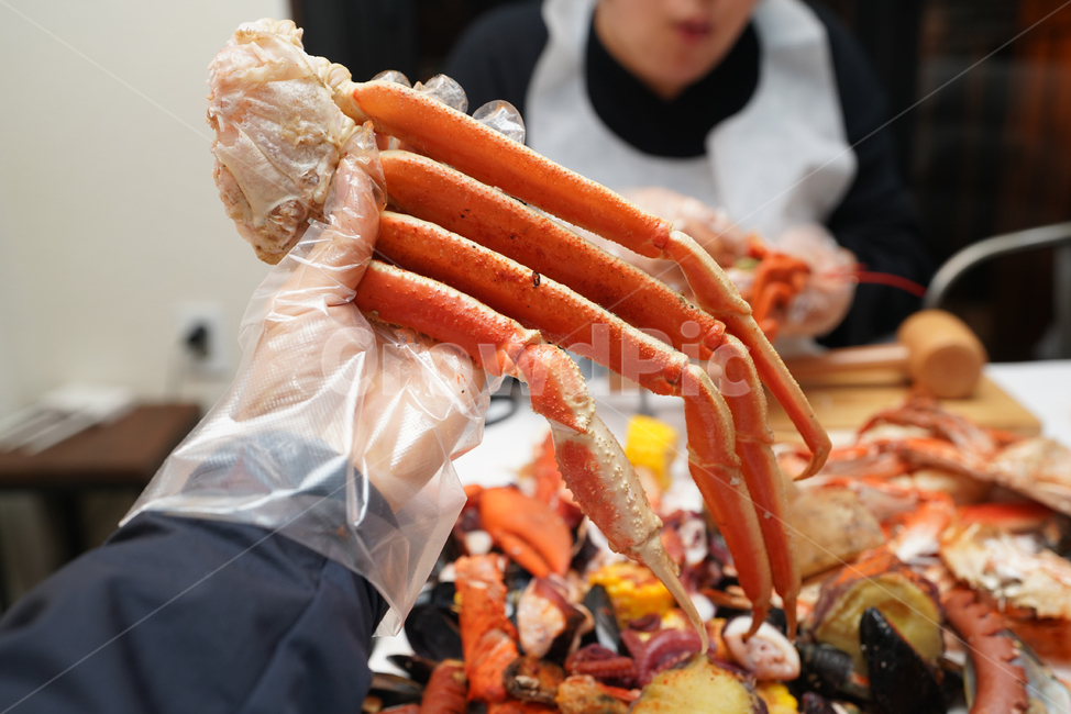 해물,해산물,seafood,먹거리,식사,안주,안주거리,컬러,색감,게,크랩,대게,음식,food,음식,식재료,요리,food,cook,meal,dishes,food reserves,수산물,해산물,fishery products,seafood