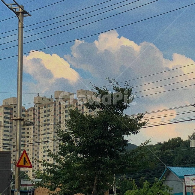 구름,나무,tree,cloud,낮,도시,풍경,city,landscape,cable,케이블,power lines,전력선,electric transmission tower,송전탑