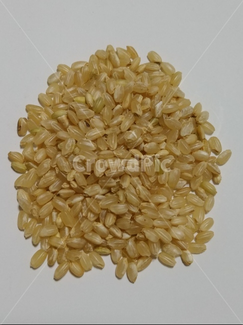 현미,잡곡,건강잡곡,변비해소,건강식,음식,식재료,요리,food,cook,meal,dishes,food reserves,곡류,곡식,cereals