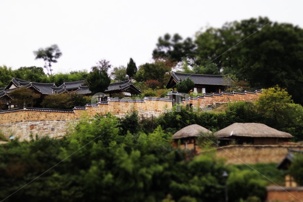 한국,시골,초갓집,담벼락,자연,시골,마을,풍경,landscape,country,rural,town,한국전통,한국문화,korean traditional,korean culture