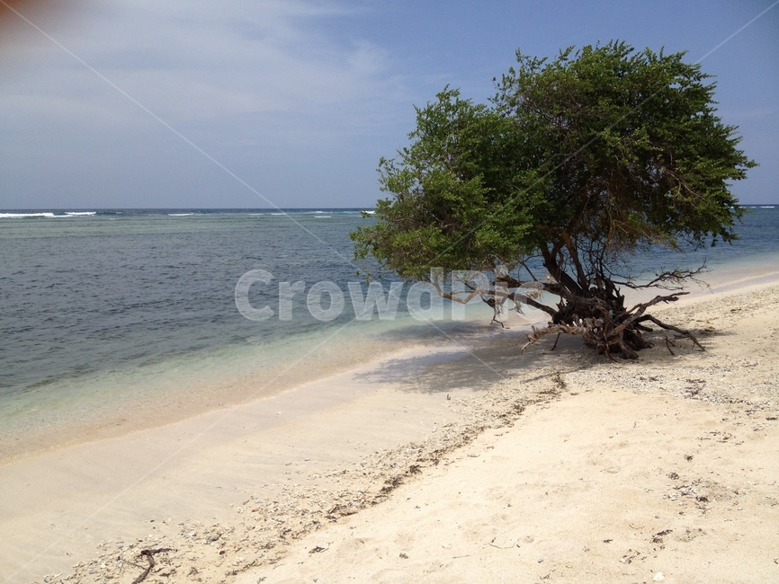 길리,바다,나무,하늘,gili,sea,tree,sky,seaandtrees,고즈넉