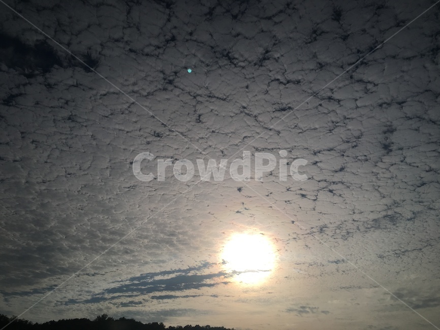 풍경,구름,안개구름,햇빛,해,초고화질,고화질,자연,풍경,nature,landscape,animal,동물,flock,대군