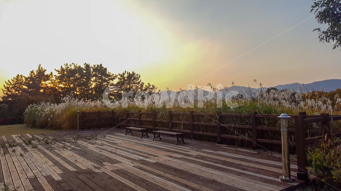 가을,갈대,하늘,노을,sunset,가을,계절,fall,autumn,season,자연,풍경,nature,landscape,building,건물