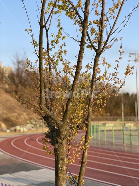 sport,sports,스포츠,runningtrack,육상트랙