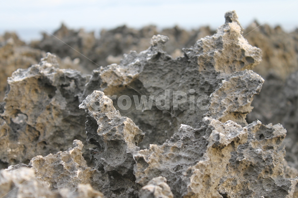 인도네시아,발리,누사두아,화산암,바위,현무암,indonesia,bali,nusadua,volcanicrock,basalt,rocks