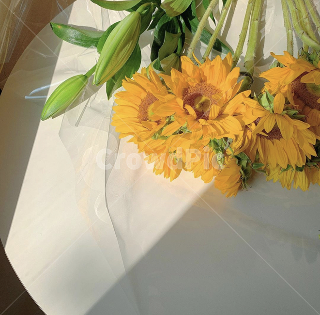 꽃,식물,해바라기,소품,인테리어,꽃,flower