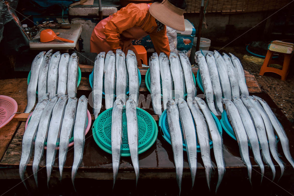자갈치,갈치,은갈치,시장,제래시장,시장,마트,마켓,market,mart,market place,사람,인물,인간,human,person,여성,여자,woman,female,lady,음식,식재료,요리,food,cook,meal,dishes,food reserves,수산물,해산물,fishery products,seafood