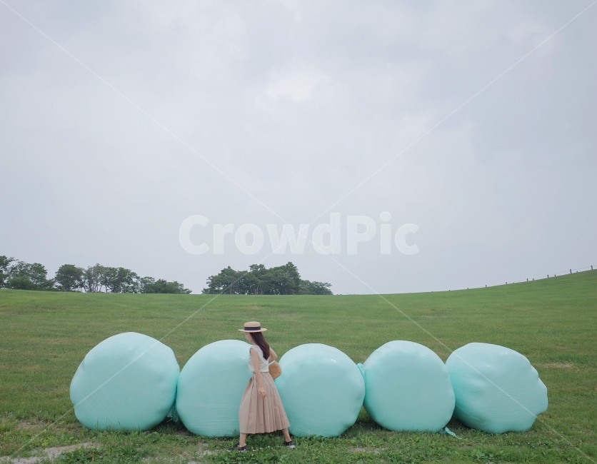 삼양목장,목장,강원도,초원,풍경,잔디,korea,nature,summer,여자,들판,사람,인물,여행,사람,인물,인간,human,person,여성,여자,woman,female,lady,여행,휴가,traveling,vacation,trip
