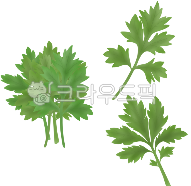 쑥, 쑥일러스트, 쑥떡, 쑥부침개, 쑥갓, 사진,이미지,일러스트,캘리그라피 - xzo31작가