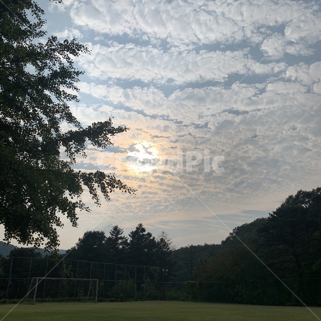 하늘,sky,노을,sun,sunset,들판,들,field,나무,tree,잔디,grass,outdoors,옥외,plant,식물,자연,풍경,nature,landscape