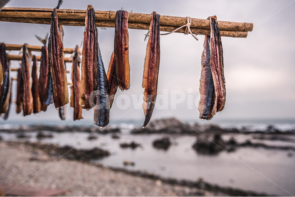 과메기,구룡포,동해,꽁치,거조,바다,술안주,안주,아침,해안,해변,파도,특산물,포항,해풍,신선,해산물,수산물,요리,겨울,sea,food,해변,바다,beach,sea,음식,식재료,요리,food,cook,meal,dishes,food reserves,수산물,해산물,fishery products,seafood