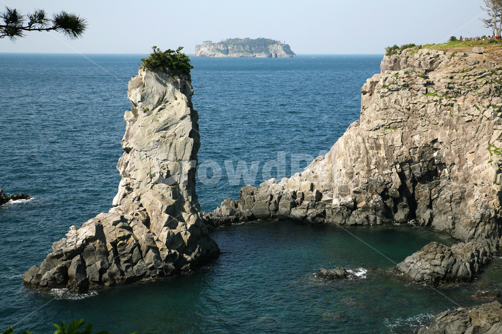 cloud,sky,ocean,Jeju,Oedolgae,tree,Seogwipo City,Jeju sea,rocky island