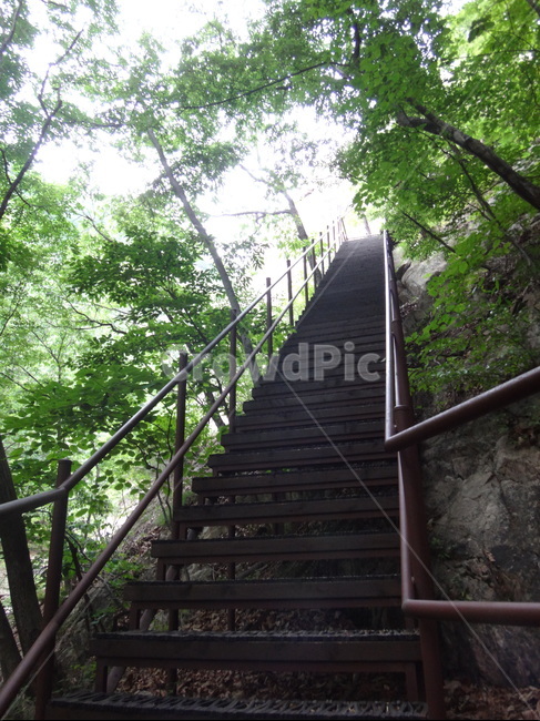 등산로,탐방로,자연,산,풍경,자연,풍경,nature,landscape,handrail,난간,banister,staircase,계단,railing