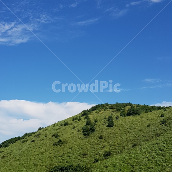 들,오름,하늘,구름,자연,nature,outdoors,grassland,field,자연,풍경,nature,landscape