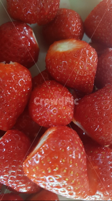 food,음식,plant,strawberry,fruit,과일