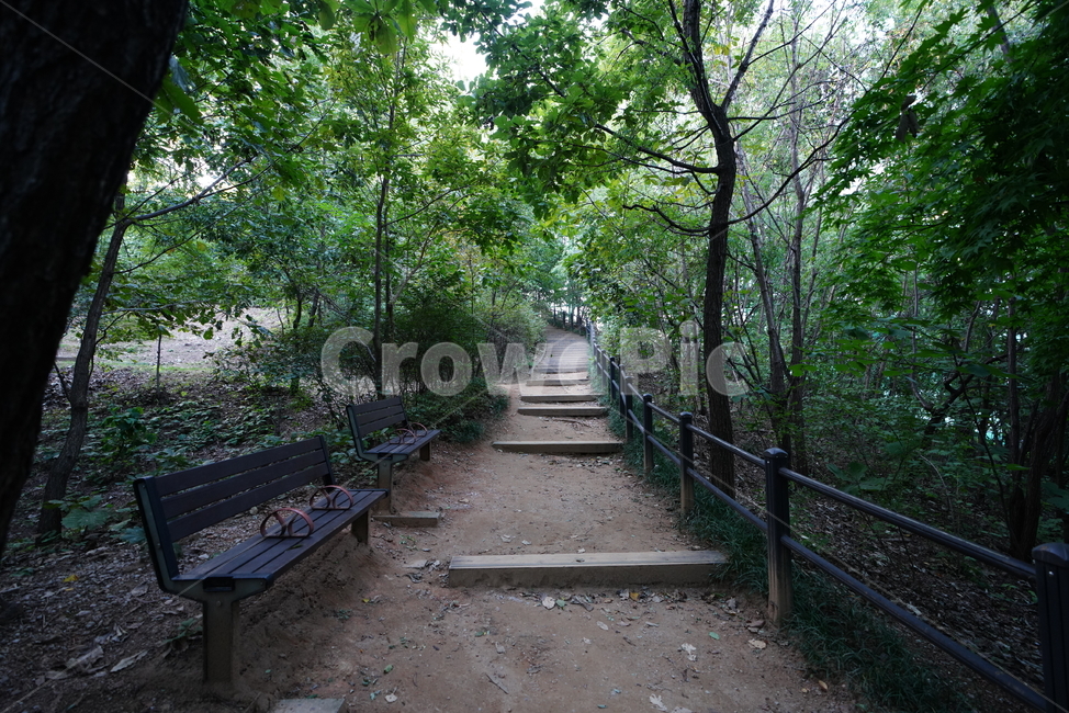 길,산책,등산로,road,자연,숲,산보,흙,땅,벤치,옥외,outdoors,자연,풍경,nature,landscape