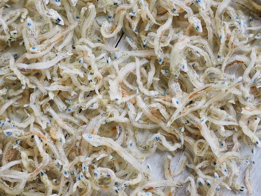 멸치,음식,음식재료,해산물,물고기,말린멸치,작은멸치,배경,anchovy,food,foodingredients,seafood,fish,driedanchovy,smallanchovies,background