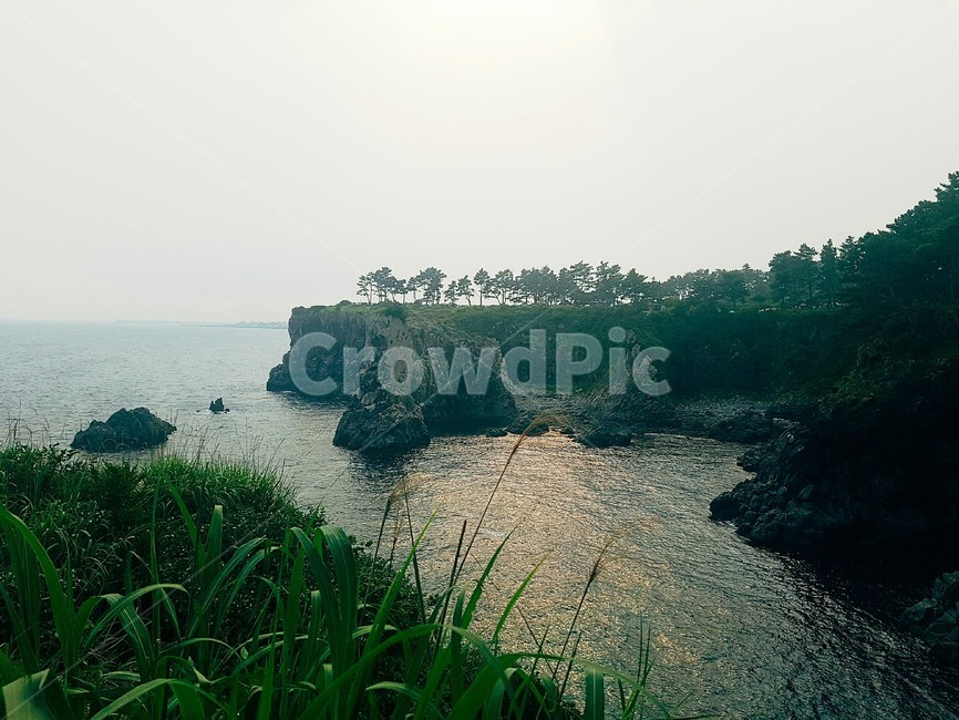 제주도,풍경,바다,sea,자연