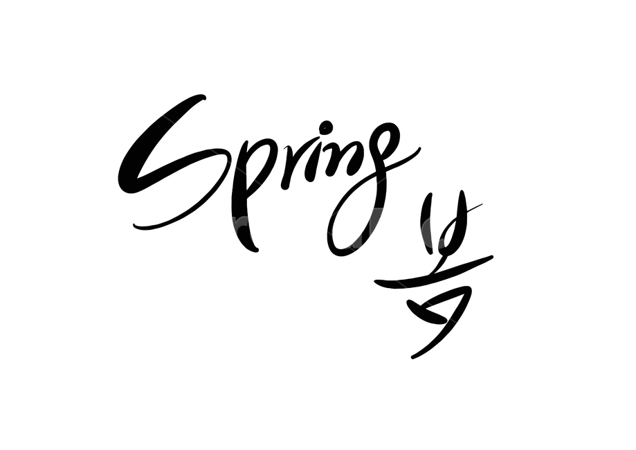 spring,봄,캘리그라피,그래픽,일러스트레이션,graphic,illustration,따뜻한,영어,한글,캘리그라피,손글씨,calligraphy