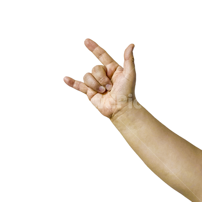 락앤롤,축제,human,손,인간,person,사람,hand,사람손가락,사람손,신체일부,몸,body
