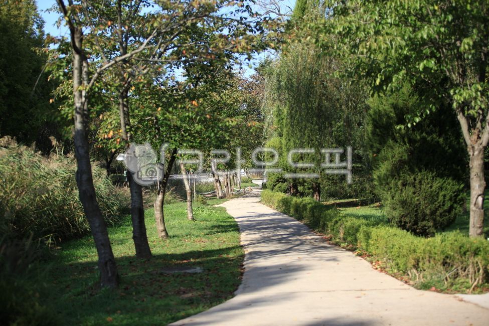path,길,오솔길,정원,nature,garden,자연,outdoors,sidewalk,tree,나무,treetrunk,나무줄기,walkway,보도,park,공원