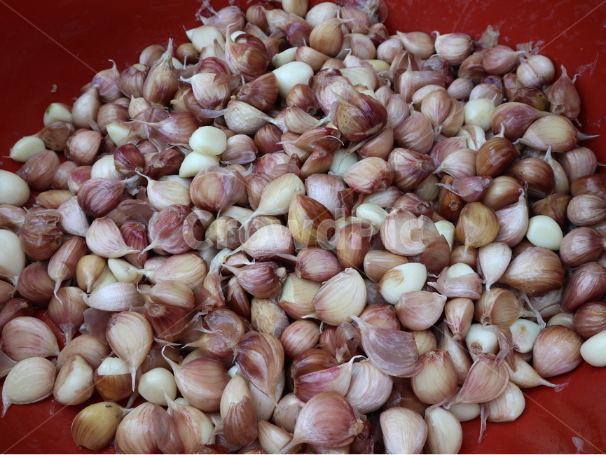 마늘,깐마늘,향신료,garlic,peeledgarlic,plant,식물,garlicshell,뿌리채소,rootvegetables,음식,식재료,요리,food,cook,meal,dishes,food reserves