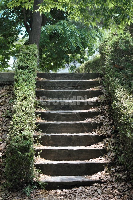 계단,나무계단,공원,나무,숲,park,step,wooden,녹색,green,refresh,여름,summer,wood,tree,forest,silent,calm,고요,정적,조용,힐링,healing