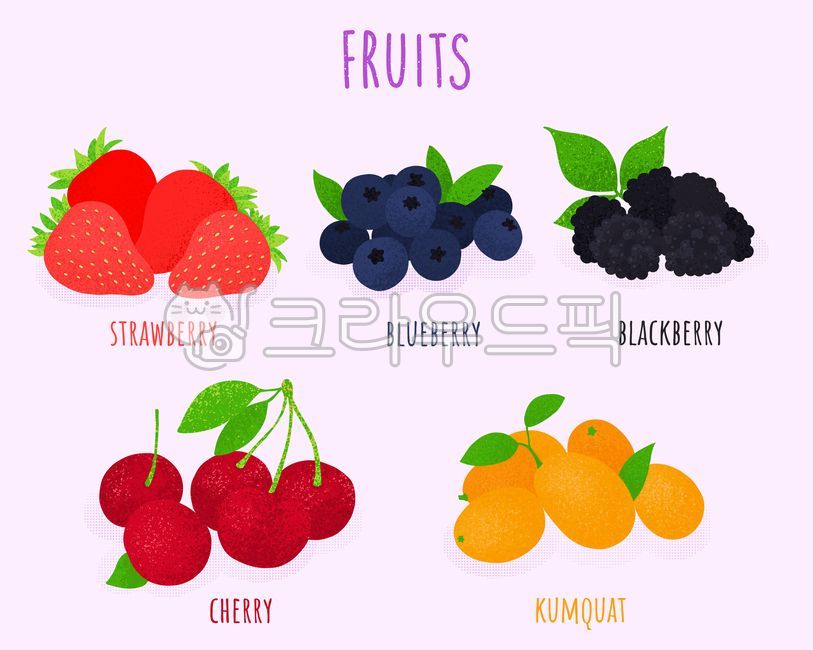 딸기,블루베리,블랙베리,체리,금귤,과일,음식,일러스트,제철과일,오가닉,신선한,새콤한,달콤한,디저트,오브젝트,맛있는,맛,strawberry,blueberry,blackberry,cherry,tangerine,fruit,food,illustration,seasonalfruit,organic,fresh,sour,sweet,dessert,object,delicious,flavor