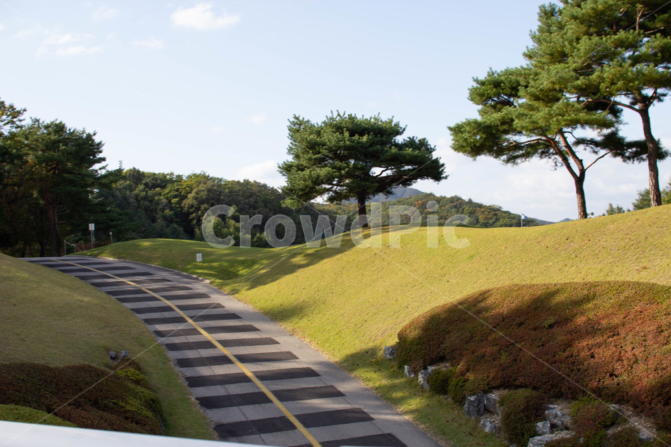 하늘,구름,나뭇잎,가을,백그라운드,planr,나무,식물,leaf,잎,outdoors,옥외,nature,자연,road