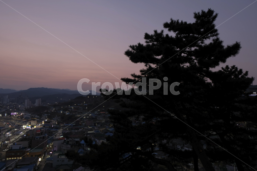 묵호항,묵호항마을,동해,마을풍경,시골마을,시골풍경,저녁,도시,풍경,city,landscape,한국도시풍경,한국도시경관,korea cityscape,nature,자연,outdoors,옥외,경치,scenery