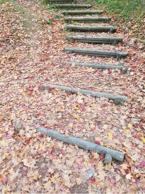 자연,가을,단풍,낙엽,오솔길,산책,울긋불긋,산책길