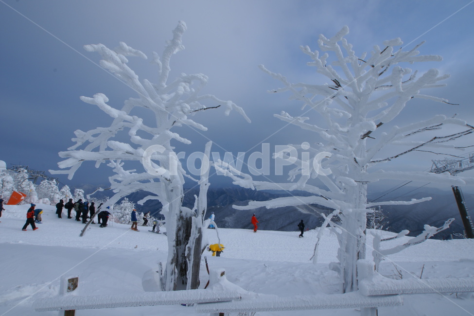 설경,덕유산,무주,상고대,주목,겨울,계절,winter,season,자연,풍경,nature,landscape,사람들,대중,군중,other people,crowd,outdoors,옥외,snow,눈