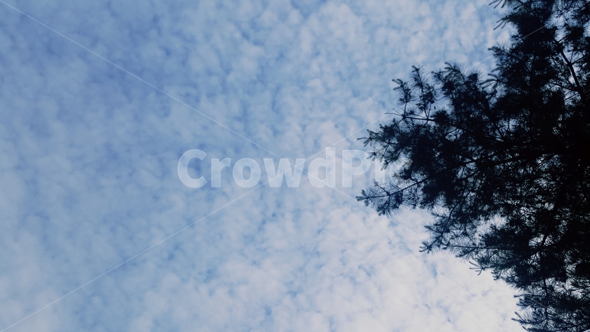 하늘,풍경,구름,여름,나무,cloud,sky,tree,healing,힐링,landscape