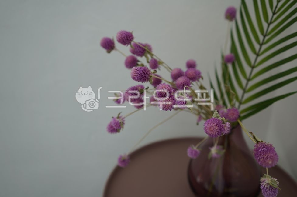 꽃다발,말린꽃,드라이플라워,bigleafhydrangea,인테리어소품