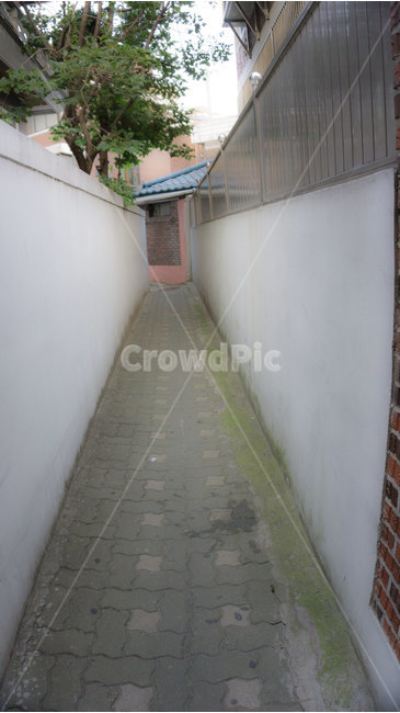 골목길,길,골목대장,좁은길,담장,보도블록,골목길,alley,corridor,복도