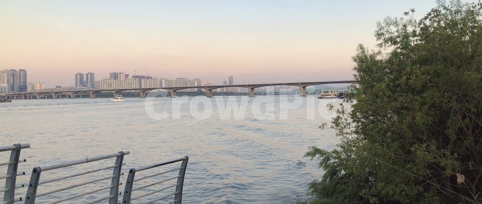 서울,한강,풍경,자연,배경,물,강,나무,하늘,건물,다리,water,tree,sky,nature,city,town