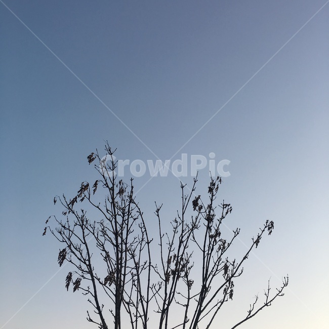 자연,nature,옥외,outdoors,하늘
