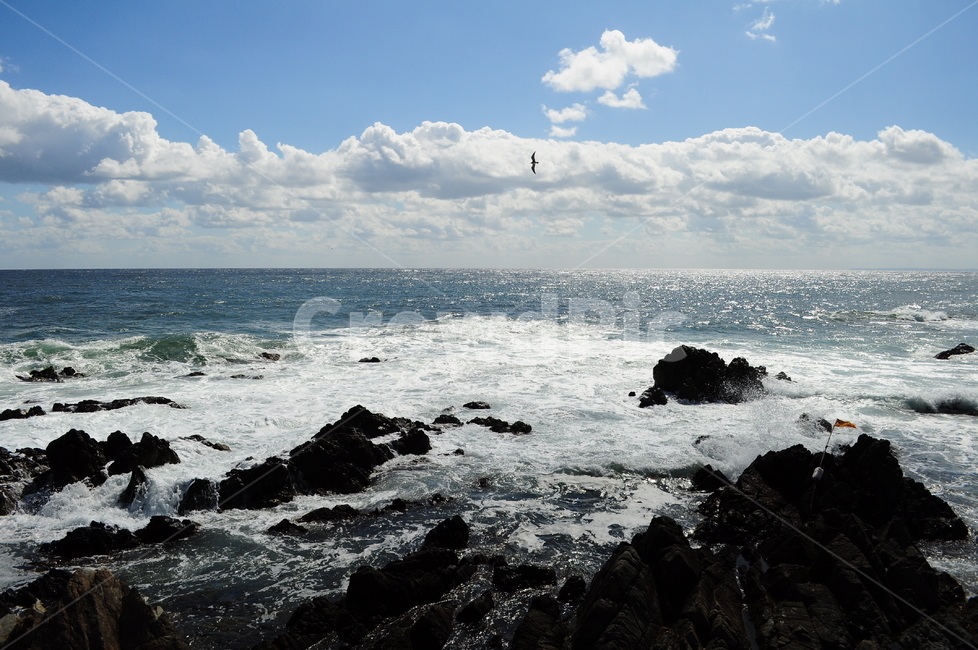 바다,파도,하늘,구름,수평선,동해바다,바위,아침,자연,풍경,nature,landscape,promontory,곶,outdoors,옥외,water,물,sea,ocean,대양,adventure,모험,leisure activities,레저 활동
