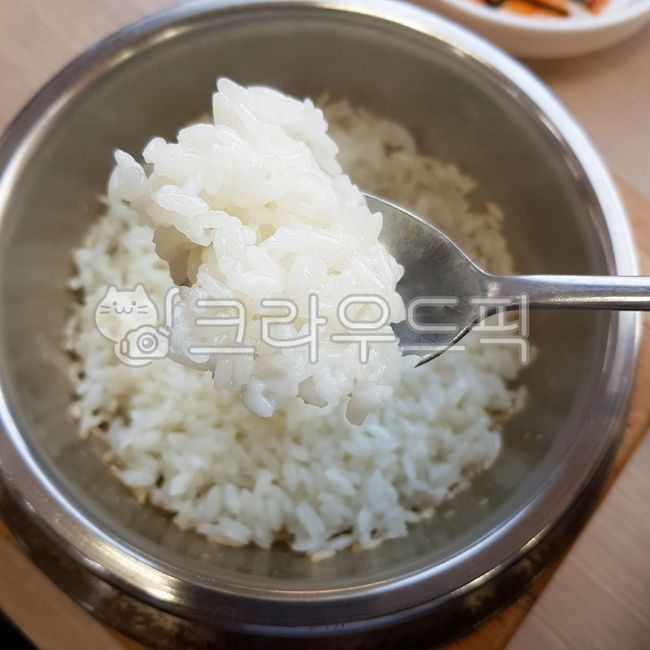 음식, food, 백미, 흰밥, 숱가락, 사진,이미지,일러스트,캘리그라피 - 엔터키작가